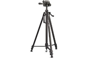 51qWhkFinAL._AC_UL320_