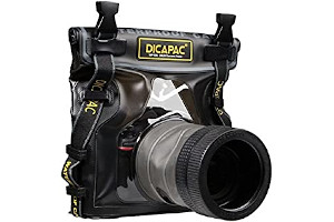 61fsHJLyCWL._AC_UL320_