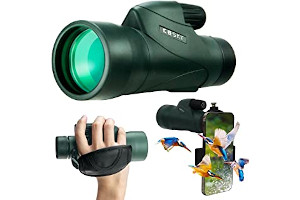 71VXrXevK1L._AC_UL320_