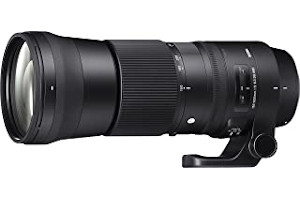 Lente Sigma 70 300 Para Nikon 81o6z3YrNZL._AC_UL320_